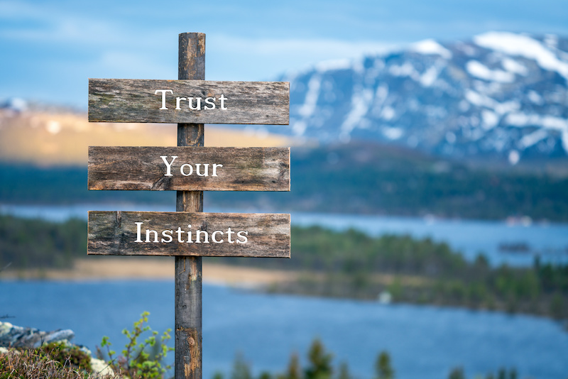 trust locksmith instincts